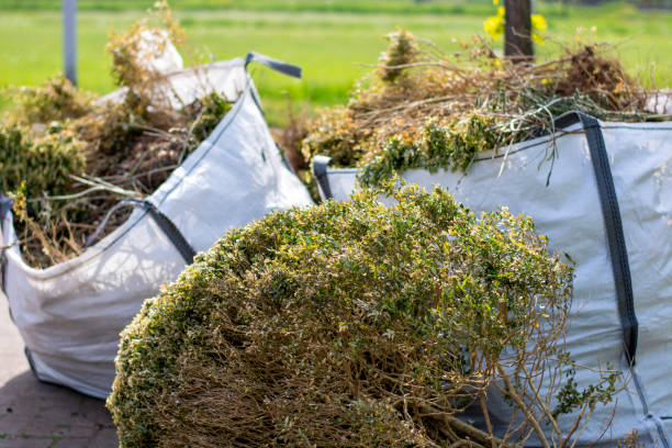 Best Junk Removal Near Me  in Sandy Springs, GA